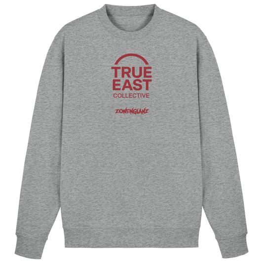 Zonenglanz & True East Logo – Wenn Beton zu funkeln beginnt - Basic Sweatshirt