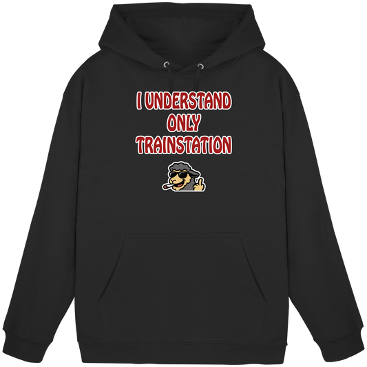 I understand only trainstation - Basic Unisex Hoodie