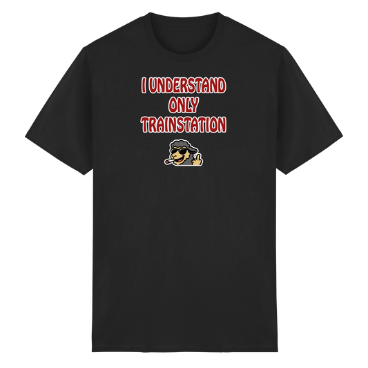 I understand only trainstation - Heavy Cotton T-Shirt