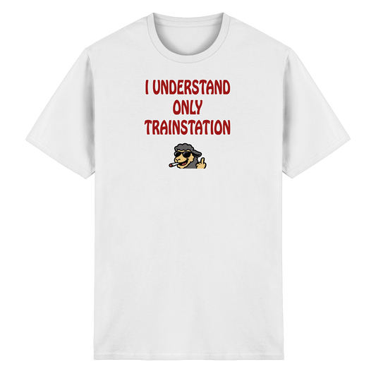 I understand only trainstation - Heavy Cotton T-Shirt