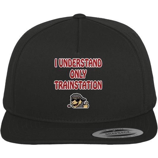 I understand only trainstation - Premium Snapback
