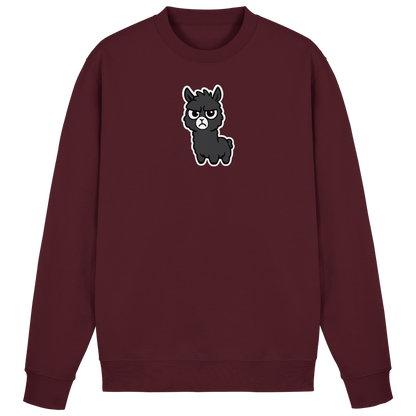 Alpaka im Partymodus — Skeptisch, genervt, und trotzdem auf der Gästeliste