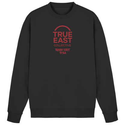 Trabbi statt Tesla & True East Logo – Zweitakt statt Stromschlag - Basic Sweatshirt