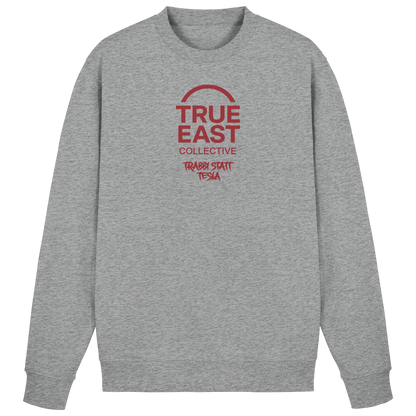 Trabbi statt Tesla & True East Logo – Zweitakt statt Stromschlag - Basic Sweatshirt