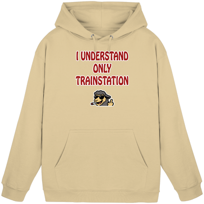 I understand only trainstation - Basic Unisex Hoodie