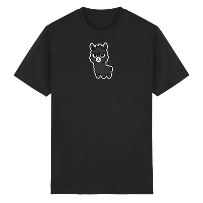 Alpaka im Partymodus — Skeptisch, genervt, und trotzdem auf der Gästeliste