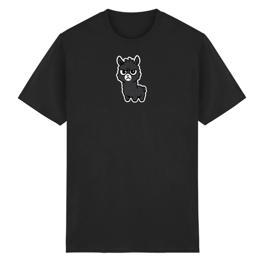 Alpaka im Partymodus — Skeptisch, genervt, und trotzdem auf der Gästeliste