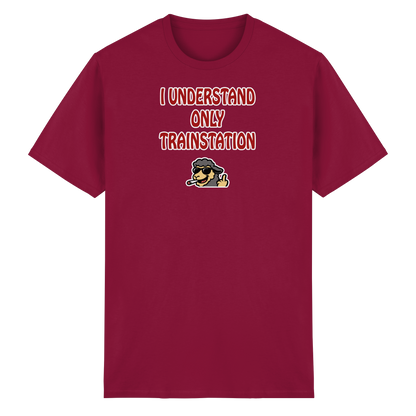 I understand only trainstation - Heavy Cotton T-Shirt