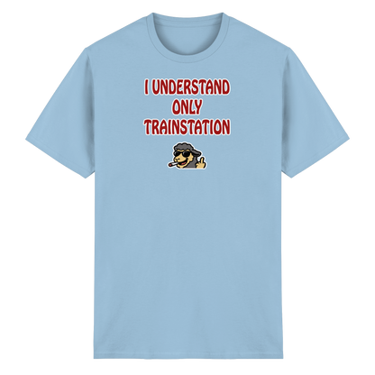 I understand only trainstation - Heavy Cotton T-Shirt