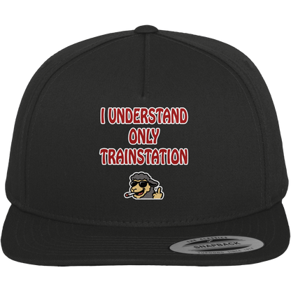I understand only trainstation - Premium Snapback