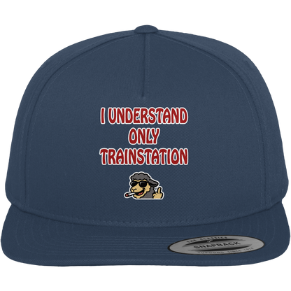I understand only trainstation - Premium Snapback