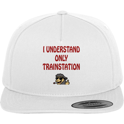 I understand only trainstation - Premium Snapback